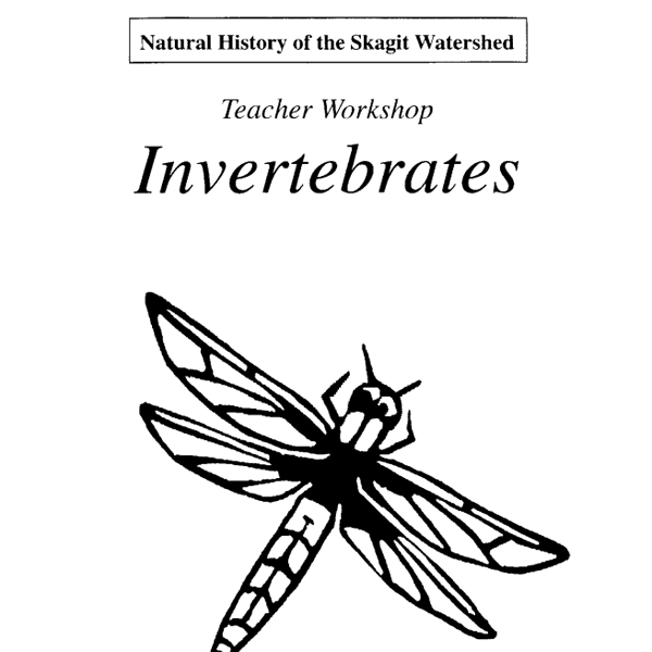 NCI - Natural History of the Skagit Watershed, Teacher Workshop, Invertebrates, 1997